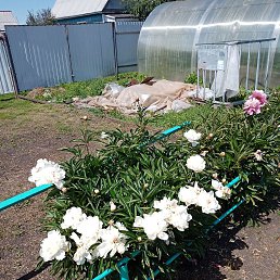 ���� ��������, �����������, 60 ��� - ��������� 21 ������� 2023