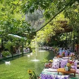 ���� ����, ������, 41 ��� - ��������� 31 ��� 2023