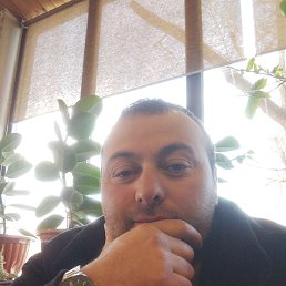 ������, ������, 33 ����