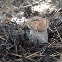 ���� ������, ������, 45 ��� - ��������� 19 ������� 2023 � ������ ���� ����������