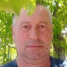 �����, ������, 48 ���