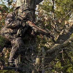 �����, �����, 40 ���