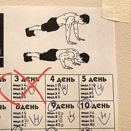 �����, ������, 36 ���