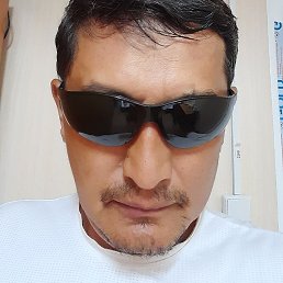 �����, �����, 51 ���