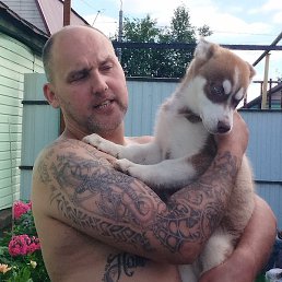 �������, ������, 48 ���