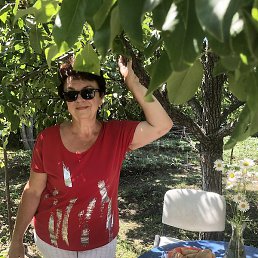 �����, �������, 66 ���