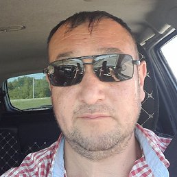 �����, ������, 41 ���