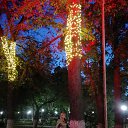 ���� ��������, ������� - ��������� 13 ���� 2023 � ������ ���� ����������