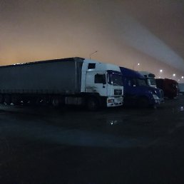 �������, ������, 50 ���