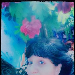 �����, ��������, 58 ���