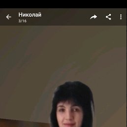 ���� ����, �������, 53 ���� - ��������� 29 ���� 2023