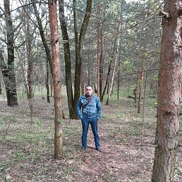 ����, ������, 49 ���