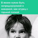 ���� ��������, ������������, 49 ��� - ��������� 19 �������� 2023