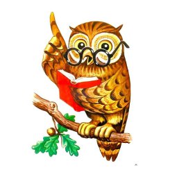 ���, ���������, 26 ���