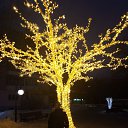 ���� �������, ��������, 27 ��� - ��������� 3 ��� 2023 � ������ ���� ����������