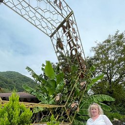 ��������, ������, 50 ���