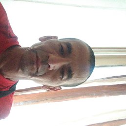 �����, ������, 48 ���