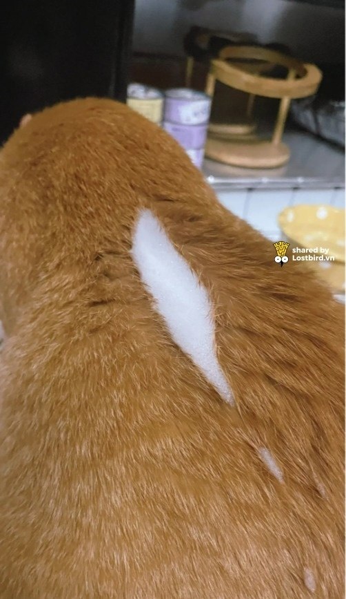 Пока ел, треснул))) - 2