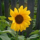 ���� ������, �������, 35 ��� - ��������� 2 �������� 2023 � ������ ���� ����������