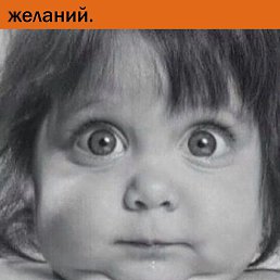 �����, ����, 52 ����