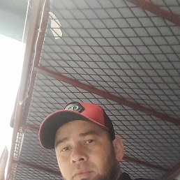 ������, �����-���������, 37 ���