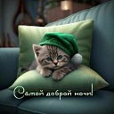 ���� ����, ������-��-����, 37 ��� - ��������� 14 ������� 2023 � ������ ���� ����������