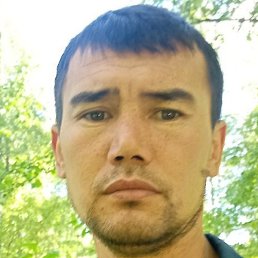 ��������, ��������, 40 ���