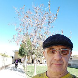 �����, ��������, 53 ����