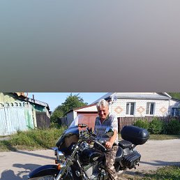���� ������, ������, 53 ���� - ��������� 17 ������� 2023