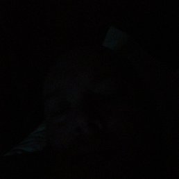 ������, �����-���������, 48 ���