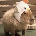 ���� ����, ����, 23 ���� - ��������� 7 �������� 2023 � ������ ���� ����������