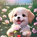 ���� Khamzat, ����, 22 ���� - ��������� 5 ���� 2023