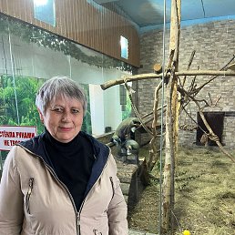 , 65, 