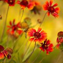 ���� �����, ������ - ��������� 21 �������� 2023 � ������ ���� ����������