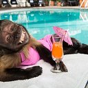 ���� ***����***, �������� - ��������� 26 ���� 2023 � ������ ������ ��������