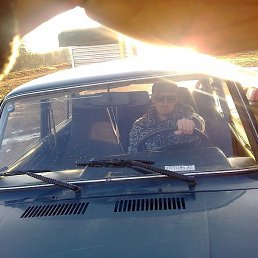 ������, ���, 43 ����