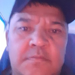 ������, �����, 51 ���