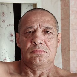 ����, ������, 66 ���