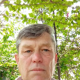 ���� ������, �����������, 56 ��� - ��������� 21 ���� 2023