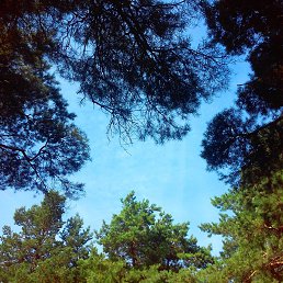 ���� �������, ������������, 58 ��� - ��������� 2 ���� 2023