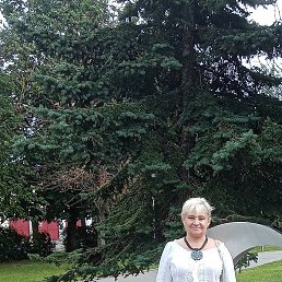 ����������, ������, 63 ����