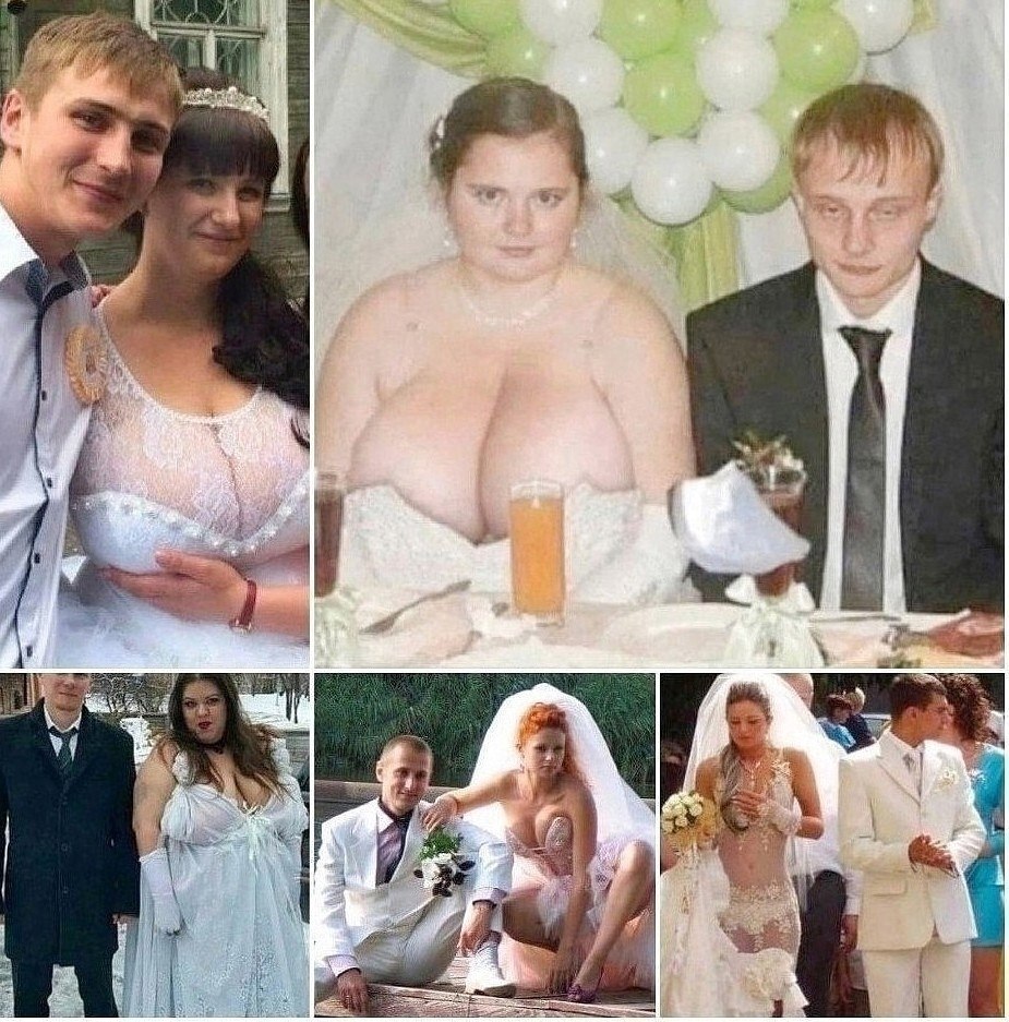  ,    ,  ,    .