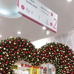 Sardor, �������, 31 ���