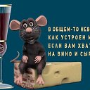 ���� ���������, ������, 57 ��� - ��������� 28 �������� 2023 � ������ ���� ����������