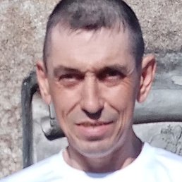 ������, �������, 37 ���