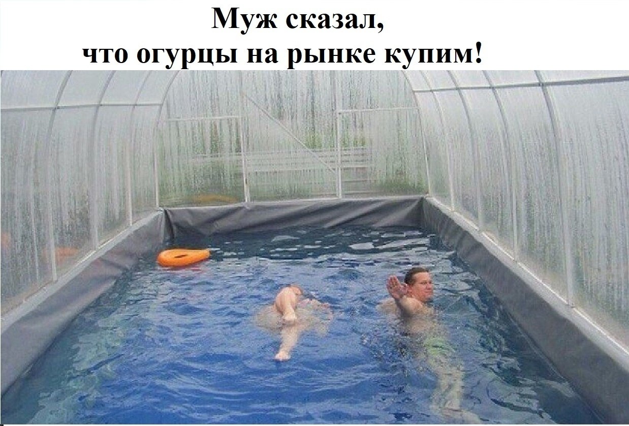  , !() - 8  2023  13:46