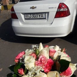  Tilla, , 37  -  27  2023