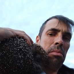 �������, �����-���������, 45 ���