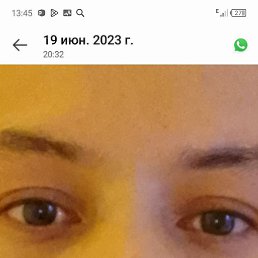 �����, ������������, 29 ���
