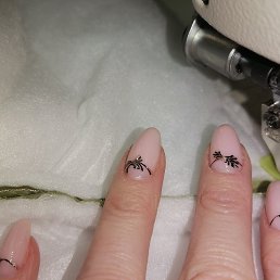 ���� �����, �������, 50 ��� - ��������� 22 ���� 2023